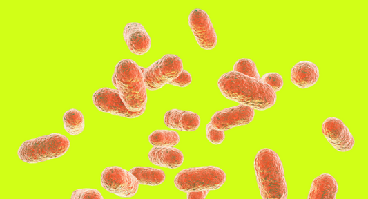 Lactobacillus rhamnosus